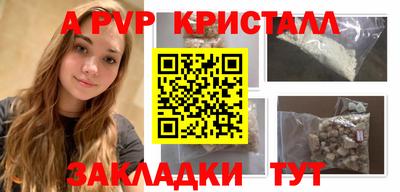 стафф Лесосибирск